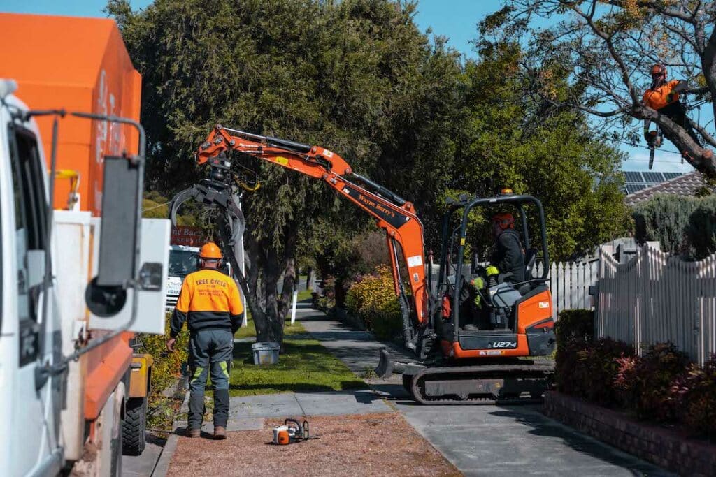 About Wayne Barry's Tree Services Geelong