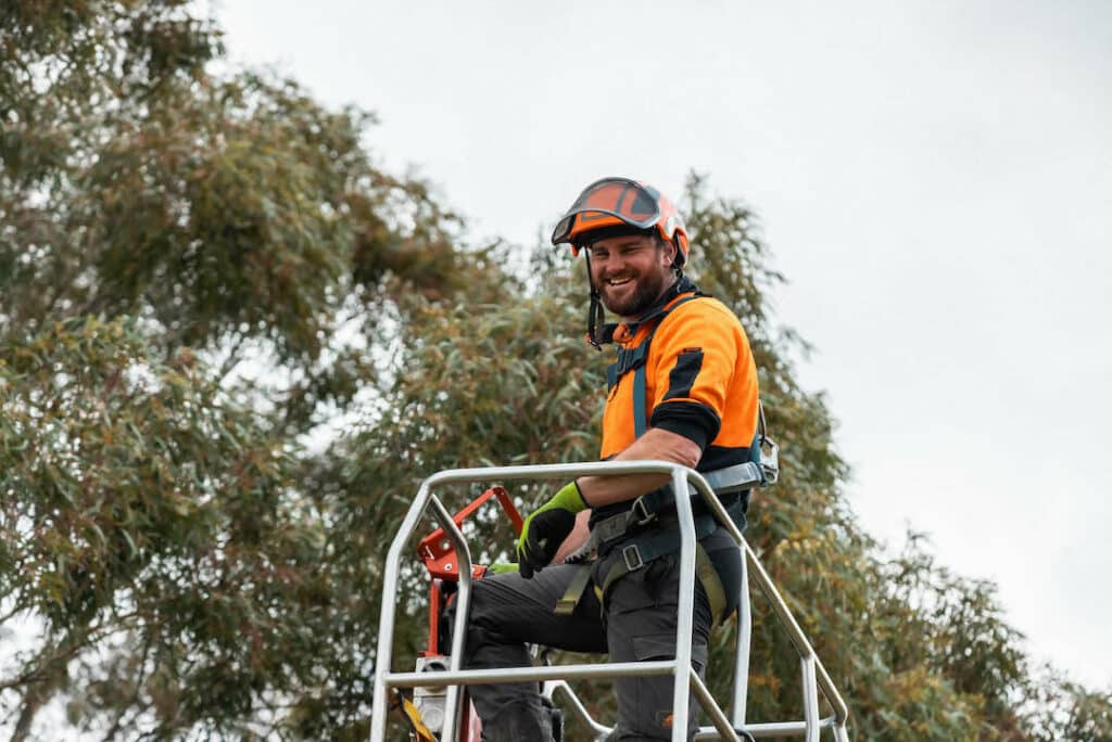 Contact Wayne Barry's Tree Services