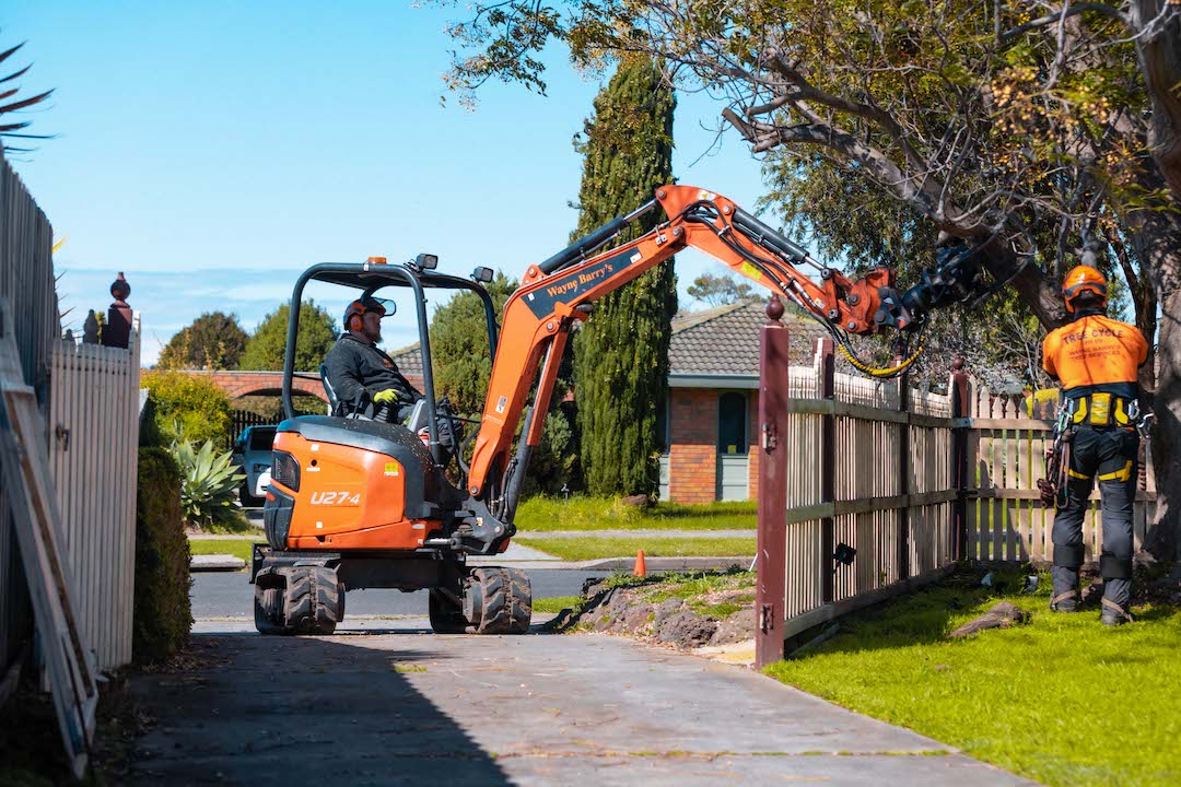 About - Wayne Barry's Tree Services