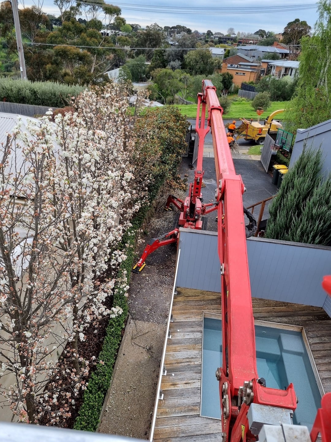 Tree Removal Geelong - Wayne Barry's Tree Services